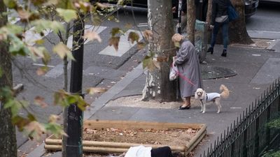Far-right French mayor introduces dog passports in canine mess clampdown