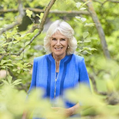 It's Queen Camilla's birthday today - and she has been flooded with heartfelt tributes