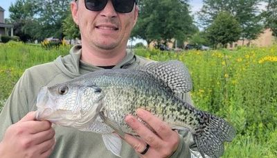 A summer crappie big enough to draw a mention of palming a basketball