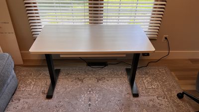 Branch Duo Standing Desk Review