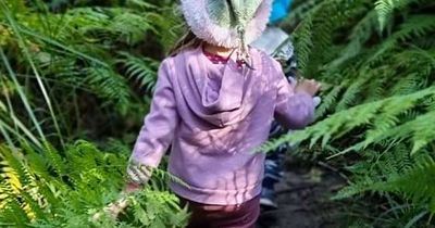 The pockets of bushland that sustain us