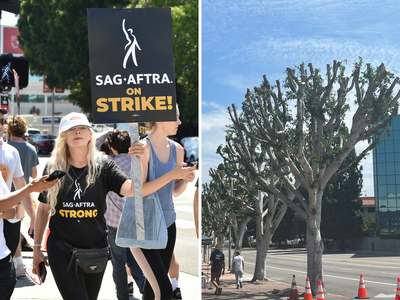 SAG strike – live: Universal Studios accused of pruning trees to remove shade for picketing actors and writers