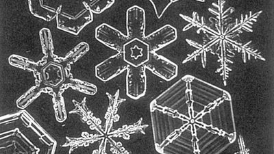 The Science Quiz | Fractals: When more of the same is beautiful, not boring