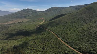 Concern in Kenya over Ruto's decision to lift logging ban