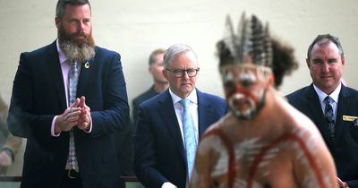 What Albo thinks of negative response to Voice survey