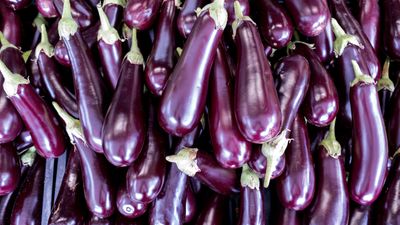 6 eggplant growing mistakes to avoid for tastier aubergine harvests
