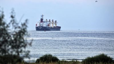 France slams Russia's suspension of black sea grain deal as 'blackmail'