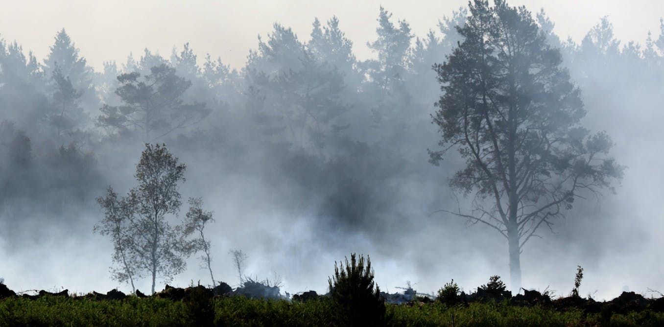 Pollution timebombs: Contaminated wetlands are ticking towards