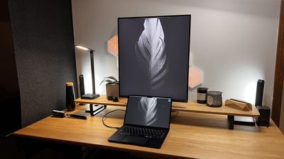 LG DualUp Monitor Review