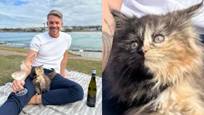 Please Stop What You’re Doing And Look At The Cat In Bachie Thomas’ New Instagram Post