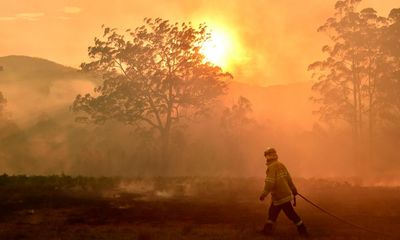 NSW warned of bushfire dangers as dry El Niño looms after ‘prolific’ vegetation growth