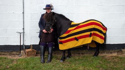 Beloved Shetland Pony Stolen, Owners Distraught