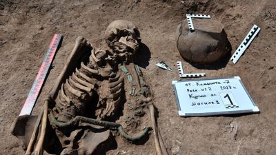 3,000-year-old untouched burial of 'charioteer' discovered in Siberia