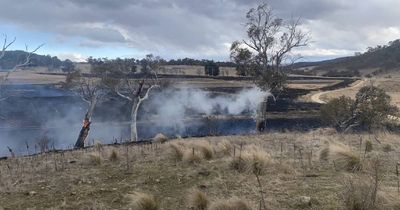'Check conditions before lighting up': NSW RFS puts out fire near border