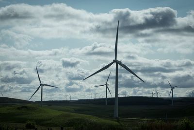 Liz Truss backs fresh attempt by Tory rebels to end onshore wind ban