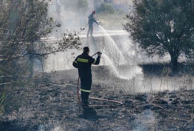 Heatwaves set more records across Europe, Asia and US