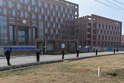 US ceases funding to Wuhan institute amid Covid probe
