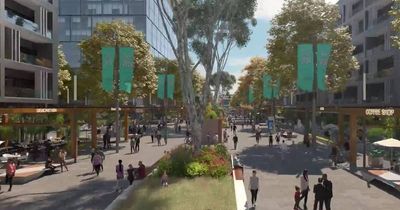 'Really important': Peak body urges Newcastle to move on Hunter Park precinct