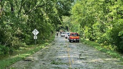 Tuesday afternoon storms topple trees, power lines in Montgomery, other central Kentucky counties