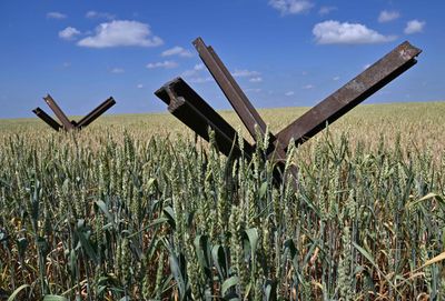 Russia's nixing of Ukraine grain deal deepens worries about global food supply