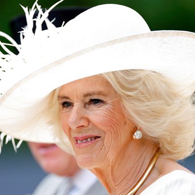 Queen Camilla Was Afraid the Public Would Revile Her After Queen Elizabeth’s Death
