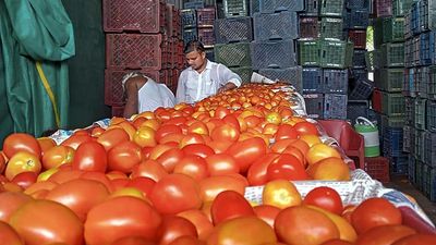 Gov’t cuts price of subsidised tomato to ₹70 per kg