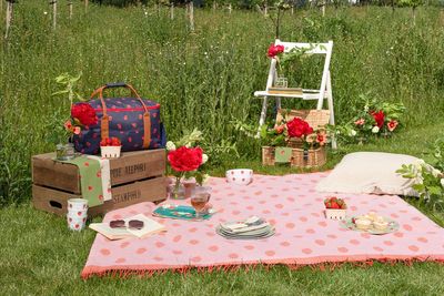 10 ways to style up your picnic