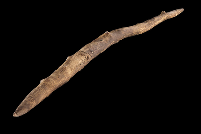 Technological secrets from 300,000 BC: How one stick revealed early humans were more skilled than we thought