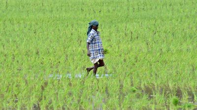 Water from Cauvery, due from Karnataka to T.N., crucial for standing kuruvai crops: CM Stalin writes to Union Minister