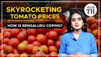 Watch | How is Bengaluru coping with skyrocketing tomato prices?