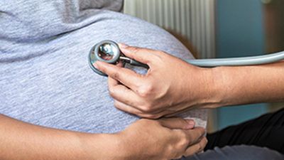 T.N. Ayush Sonologist Association files writ appeal against single judge’s refusal to let its members perform ultrasonograms on pregnant women