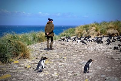 Diplomatic row as EU recognises Argentine name for Falkland Islands