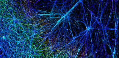 Zooming across time and space simultaneously with superresolution to understand how cells divide