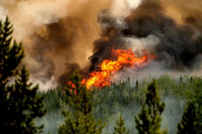 AP PHOTOS: Canada's wildfires blacken thousands of square miles, upend lives