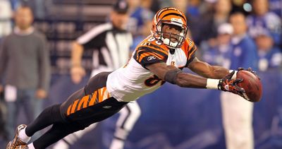 Chad Johnson, Boomer Esiason to join Bengals Ring of Honor