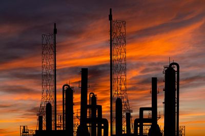 Government’s Climate Active program should be probed for potential greenwashing, Allan Fels says