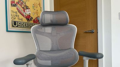 SIHOO Doro-C300 Ergonomic Office Chair review: Well, this was a surprise