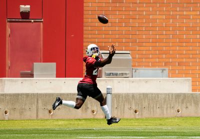 Cardinals training camp roster preview: RB Ty’Son Williams