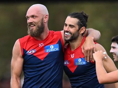 Demons coach Goodwin hits out at Grundy 'hysteria'