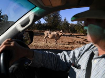 Farmers urged to always 'stay on the safe side' of life