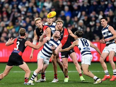 Ruthless reigning premiers Geelong crush Essendon