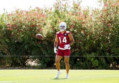 Cardinals training camp roster preview: WR Michael Wilson