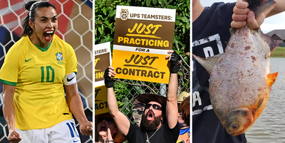 Weekly news quiz: From competing AIs to ready-to-strike unions, who's NOT in a fight?