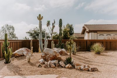 10 gravel landscaping ideas that have me convinced this is the lawn alternative to elevate modern backyards