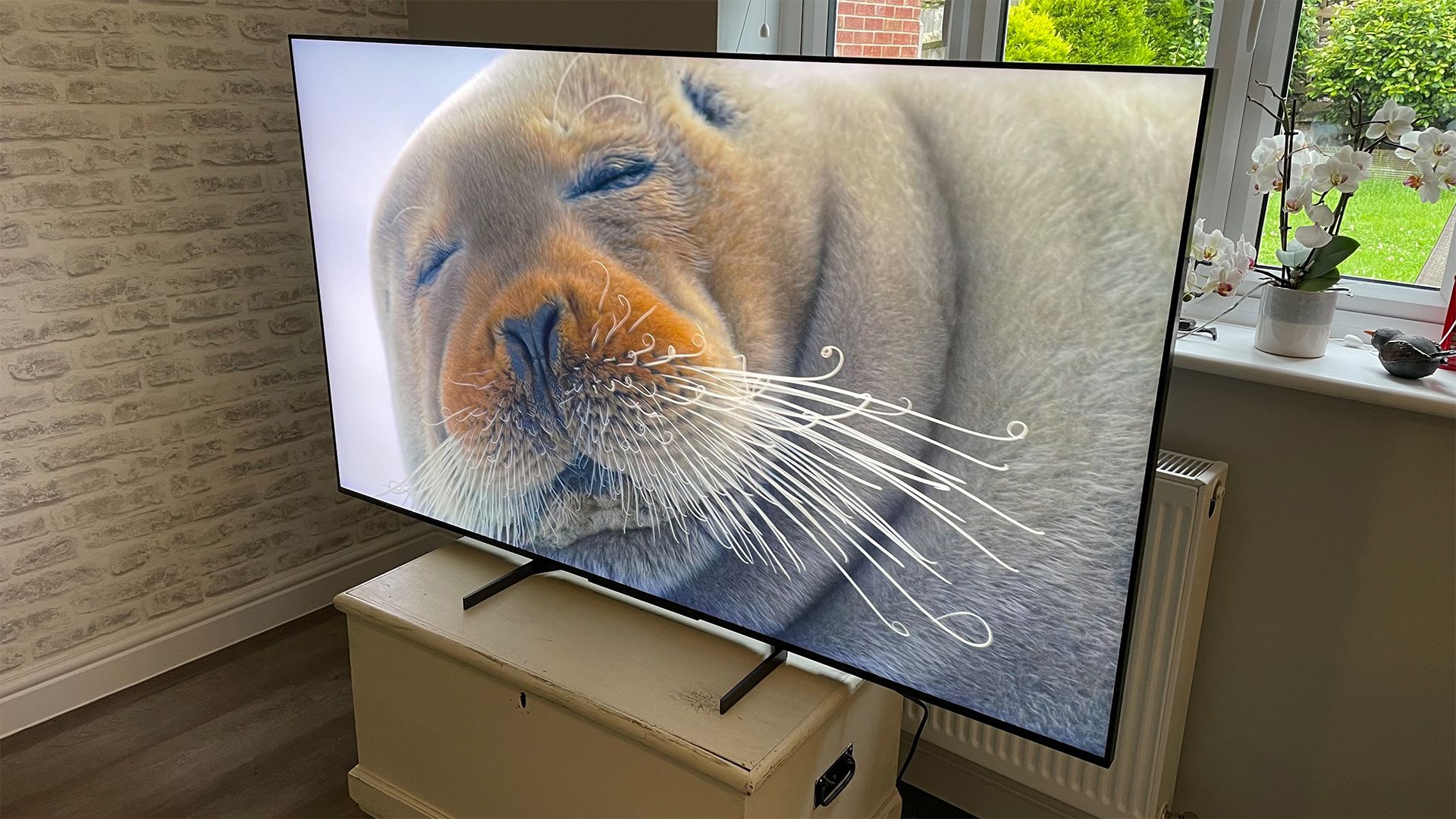 Sony X95L (XR-65X95L)