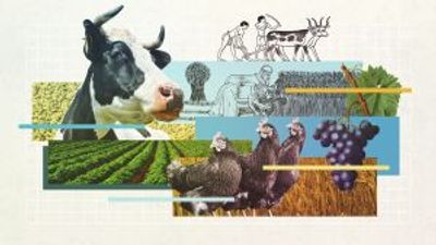 Agriculture explained in 60 seconds: ideas that changed the world