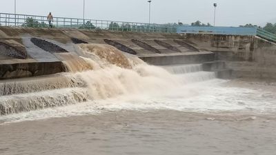 Floodwaters diverted to Krishna delta from Pattiseema as Godavari swells