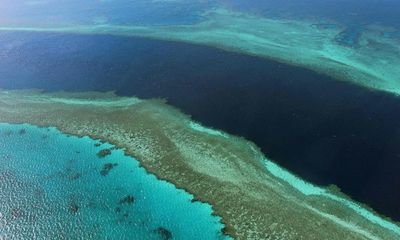 Marine heatwave off north-east Australia sets off alarm over health of Great Barrier Reef