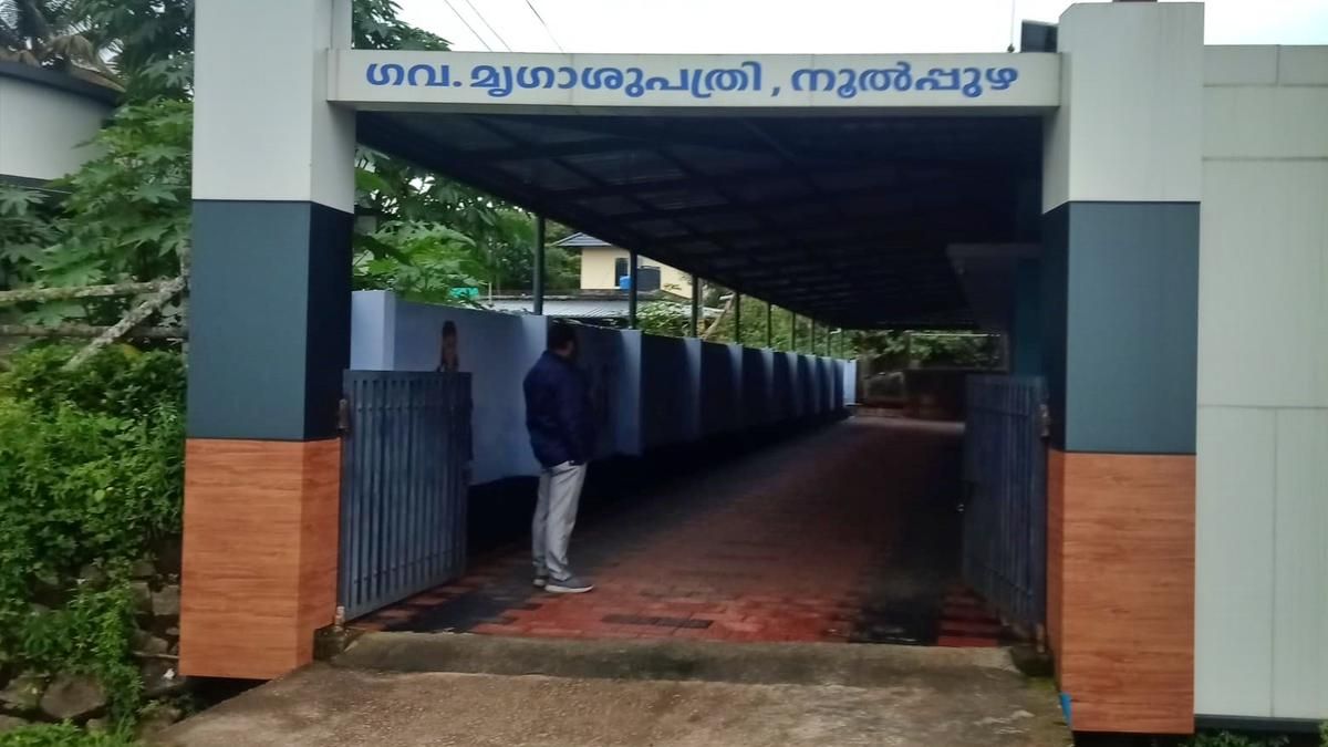 Dispensary in Wayanad sets a model for veterinary…