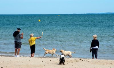 Why UK holiday destinations are going to the dogs